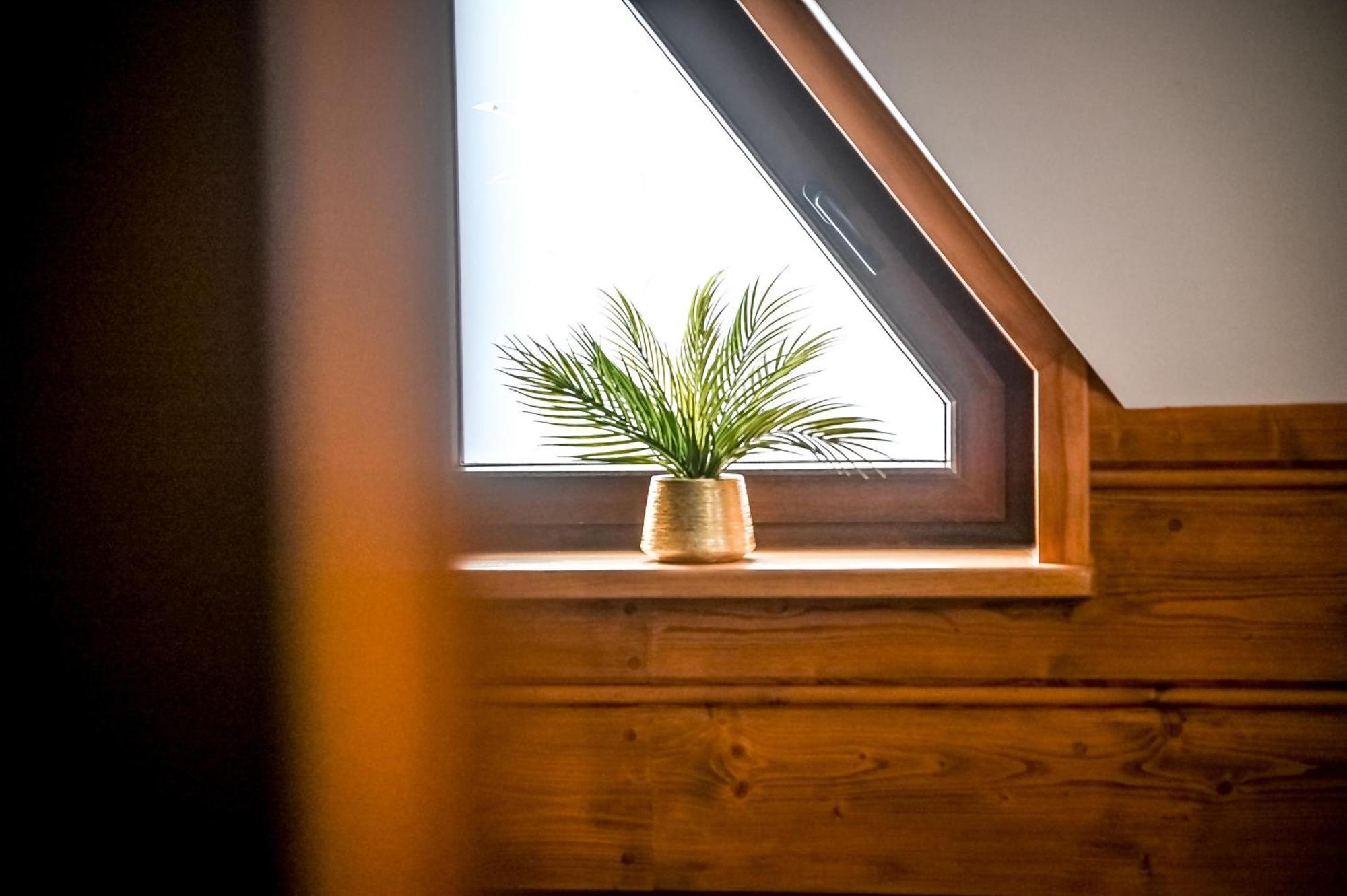 Domki Na Budzu Zakopane Ngoại thất bức ảnh